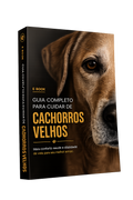 Cachorro Idoso: O Que Você Precisa Saber