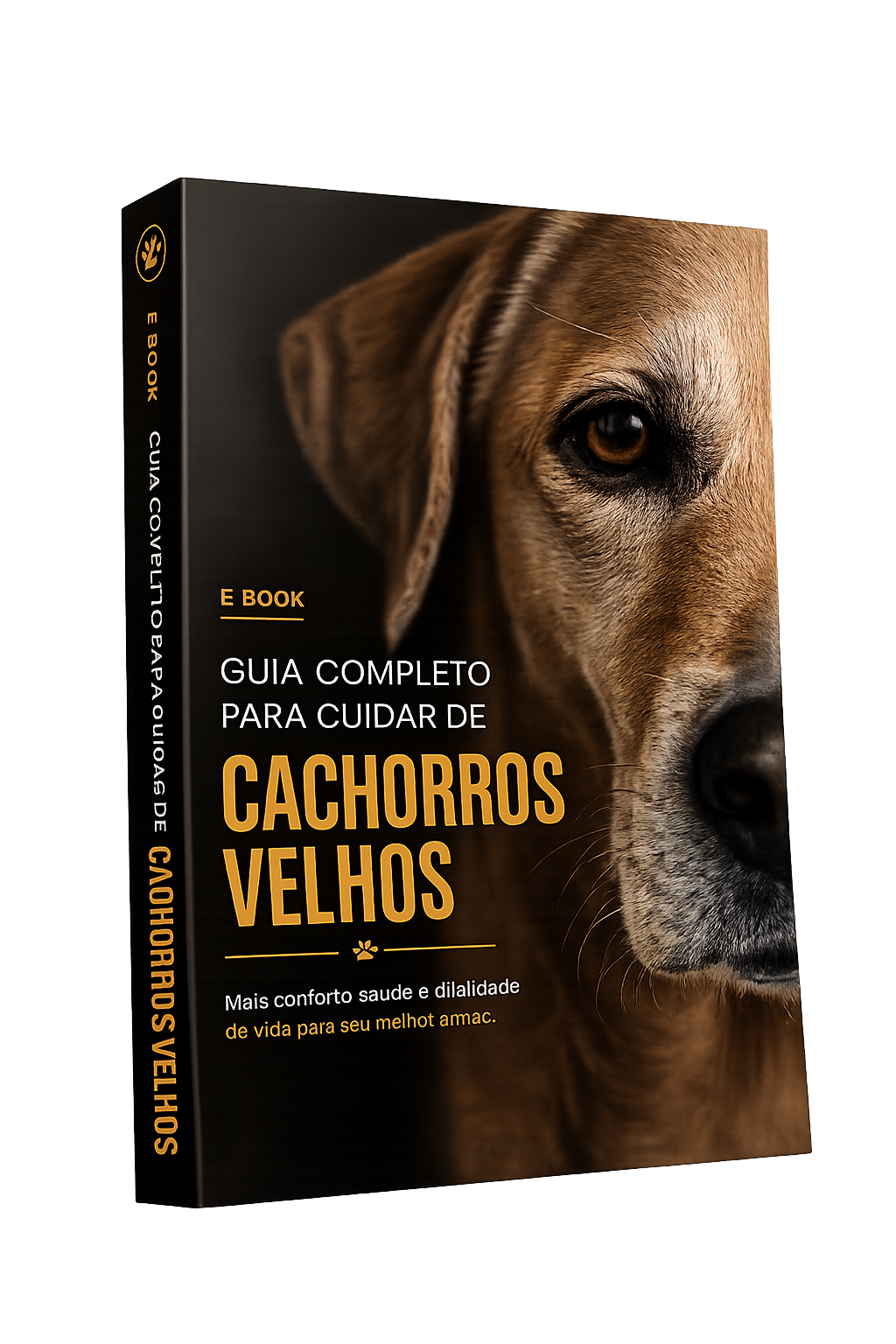 Cachorro Idoso: O Que Você Precisa Saber